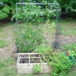 2007 garden left Left box of 2007 garden