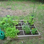 2007 garden right Right side of 2007 garden